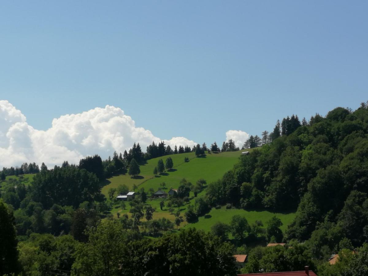 Pensiunea Transilvania Lodge Бран Екстер'єр фото