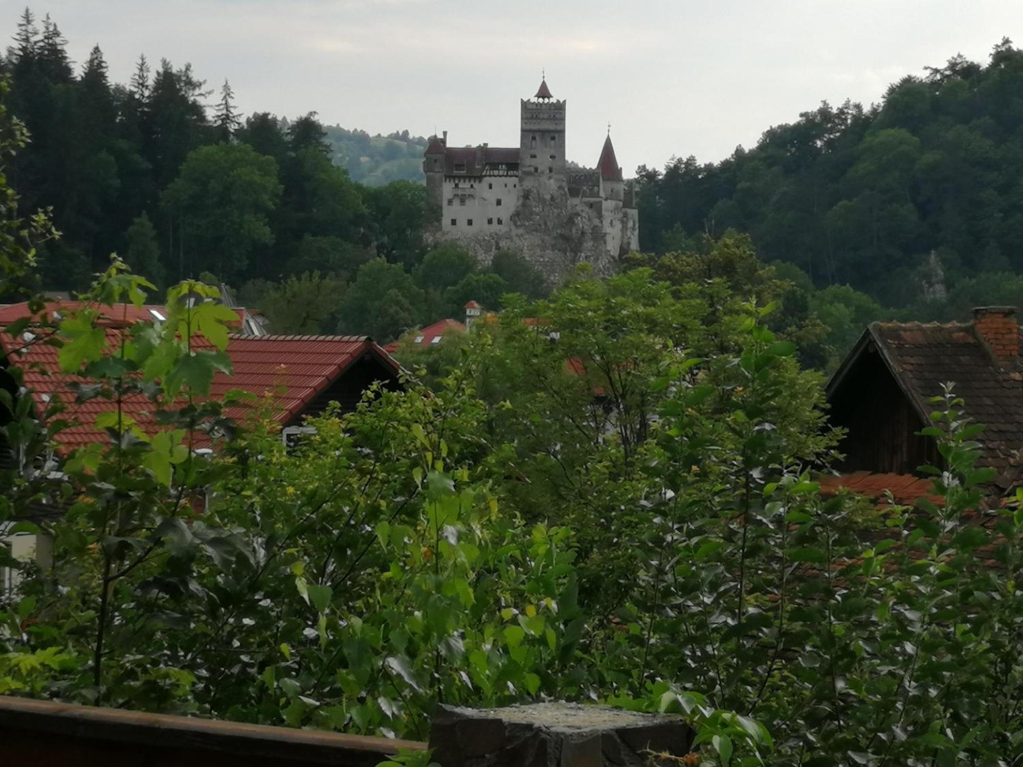 Pensiunea Transilvania Lodge Бран Екстер'єр фото