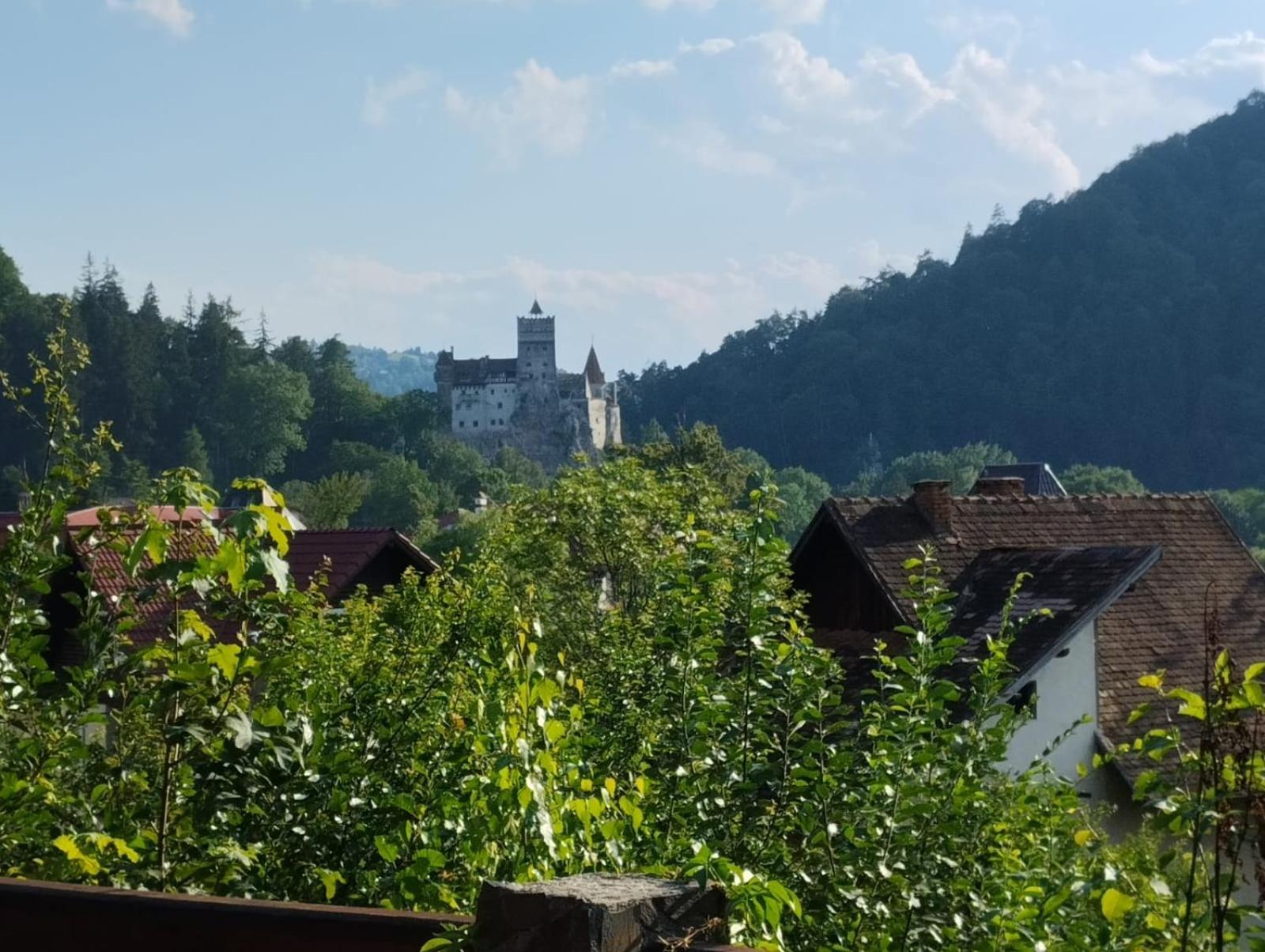 Pensiunea Transilvania Lodge Бран Екстер'єр фото